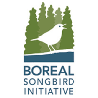 Boreal Songbird (@borealsongbird) 's Twitter Profile Photo