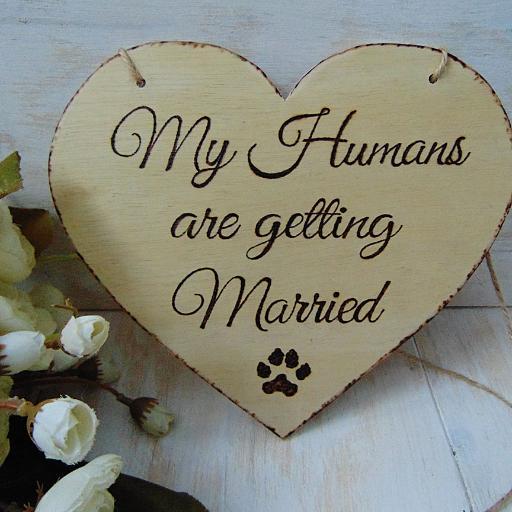 IuliaMassa's profile picture. 