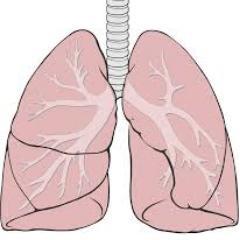 Participant in advancing Rx in pulmonary critical care medicine.