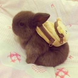 mikikona_'s profile picture. 