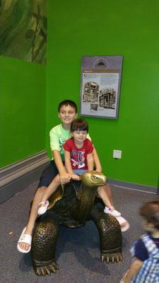 dinomylove1003's profile picture. 