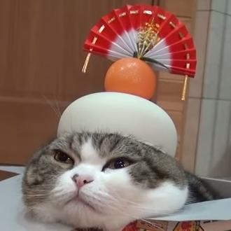 おはよう、午後、夕方、夜か何か。私を気にしない、私は食べて寝て、単に優しい人間だ。ご希望の場合は、私のYouTubeのをチェックしてください。非常に楽しい一日を過ごす。ლ(ಠ_ಠლ)