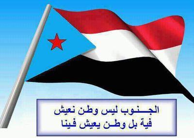 805d30d4f711441's profile picture. 