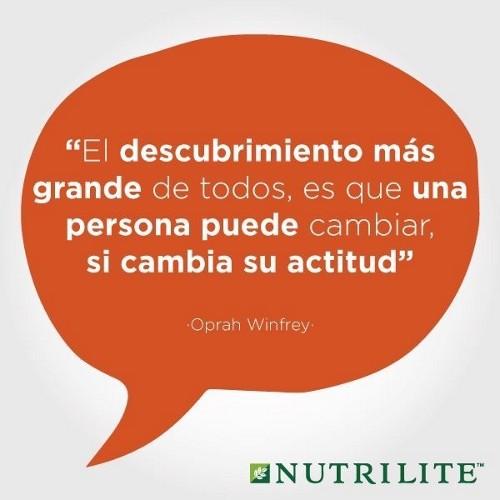 armando_arreaza's profile picture. 