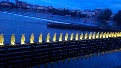 currie148's profile picture. 