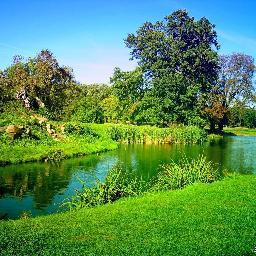 husseinmuteb15's profile picture. 