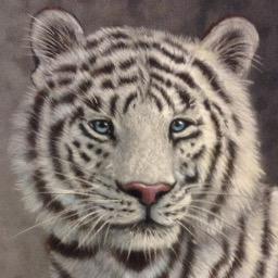 Artwiseuk's profile picture. 