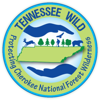 Tennessee Wild (@tennessee_wild) 's Twitter Profile Photo