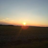 rmcalpine (@rmcalpine1) 's Twitter Profile Photo