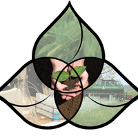 Cornell Soil Health (@soilhealth1) 's Twitter Profile Photo Cornell Soil Health (@soilhealth1) 's Twitter Profile Photo