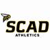 SCAD Savannah Bees (@SCAD_SavSports) Twitter profile photo