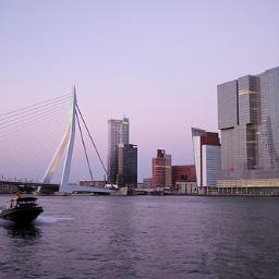 Van alles en nog wat over Rotterdam