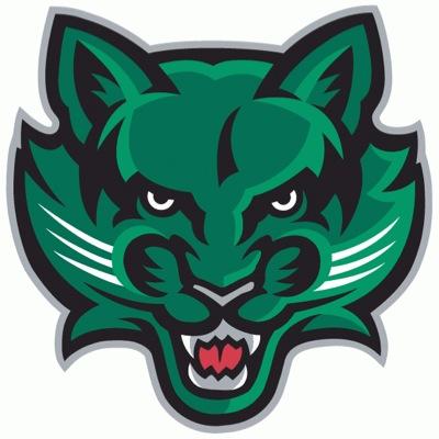 Official Twitter Account of Binghamton's only Division I Ice Hockey Team