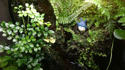 NeGi_yarou's profile picture. 苔と熱帯魚と水草と釣りと唐揚げがとても好きです🎣🐥🌿
タコ🐙釣りに自信ニキ。イカ🦑はとんと釣れません。
最近は子育てで釣りに行けないので、ブセだのエキノを育てており、ラゲナンドラ愛好会にも所属。
ピシウムを根絶やしにすることが趣味のピシニスト💥👾💥
YouTube始めてみました。