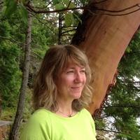 Alison Gerlach (@aligerlach) 's Twitter Profile