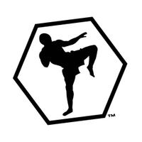 ISRAELI KRAV MAGA(@IsraeliKravMaga) 's Twitter Profile Photo