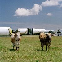 Longhorn Project (@longhornproject) 's Twitter Profile