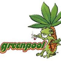 The greenpool (@thegreenpool) 's Twitter Profile