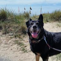 Stefan (@h3sse) 's Twitter Profile Photo