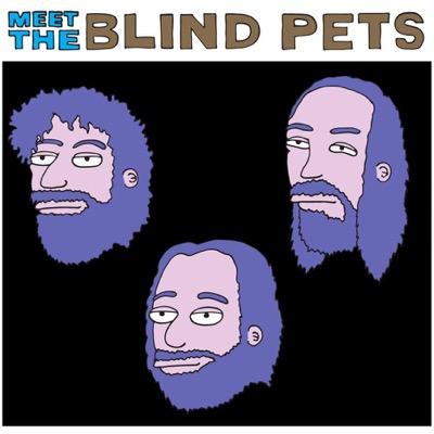 The Blind Pets are a ROCK trio from Austin, TX • LOVE THE BLIND PETS • @theblindpets • @pauwaurecords