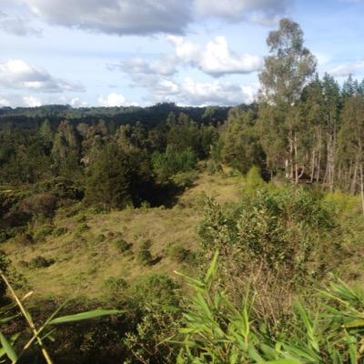 jivelillac's profile picture. Project Manager Proyecto Perú Social del Instituto Ítalo Latinoamericano IILA con apoyo de la Unión Europea