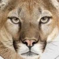 NateFBFan3 (@natefbfan3) 's Twitter Profile