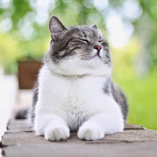 HotwireHackthon's profile picture. 