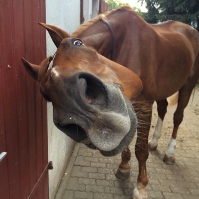 luck1104's profile picture. 1993 Hannoveraner mit Internetzugang Sportler Deutschland und seit neuestem Blogger ;)