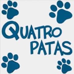 O Quatro Patas é o maior canal de animais no Brasil e temos o intuito de conscientizar, informar e entreter os nossos expectadores sobre o mundo animal!