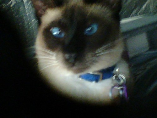 chitownbatman's profile picture. 