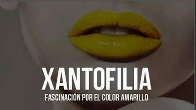 Aquí lo que yo quiera!. todos los temas colectivos y personales!