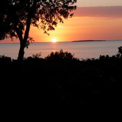 DL Connor NY Profile