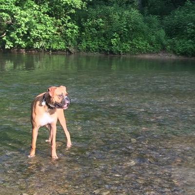 BassLeah's profile picture. Technology Coordinator, Berkeley County Schools