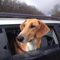 Russell T. Rawlings (@rtrawlings) 's Twitter Profile