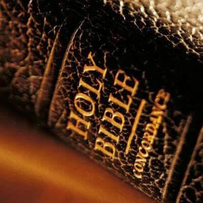 ADailyScripture's profile picture. A Scripture Daily is a twitter account that gives you a newly fresh divine word daily. So follow us to receive daily scriptures to help you with your day