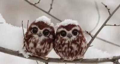 ooovruooo's profile picture. 