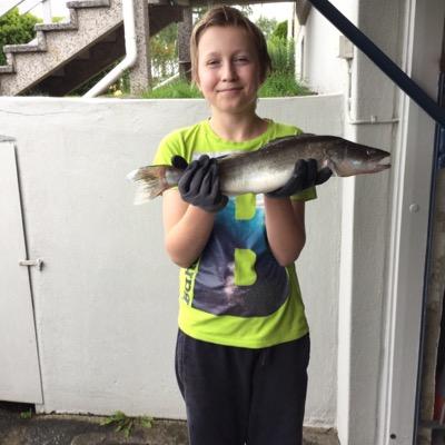 davidantonsson5's profile picture. 