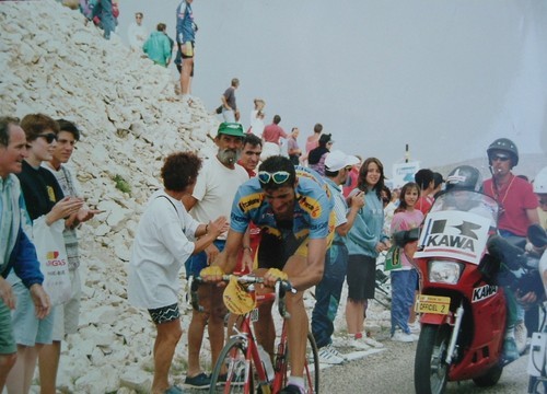 2004 Tour de France stage winner on Mount Ventoux.  Today you can find me creating magic for people @inGambaTours on the bike and at the table.