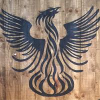 Jack Teeling (@jackteeling) 's Twitter Profile