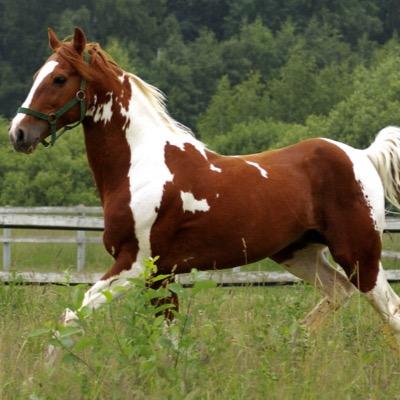 JanLalalai's profile picture. 