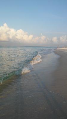 jjsewell71's profile picture. 