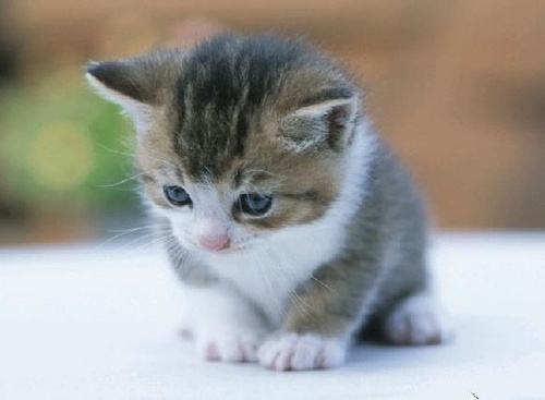 EngSchoolFollow's profile picture. 영어생활화모임 #Kor_Eng
Easy Follow 계정입니다.