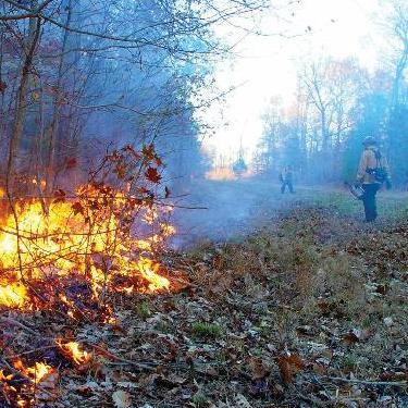 IFTDSS_Info's profile picture. Interagency Fuels Treatment Decision Support System