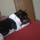 juanita gaines - @penguin_luver24 - Twitter