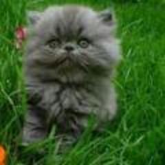 lucialo27943496's profile picture. 