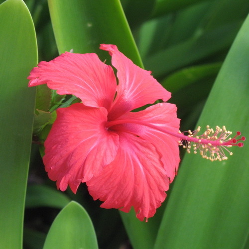 Healthy_One's profile picture. Examining the world of healthy advise to live better and be more fulfilled.