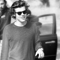 Harry - @C_Beadles06 Twitter Profile Photo