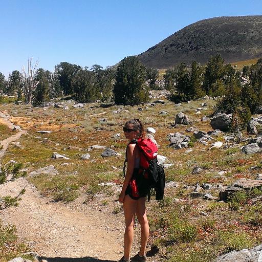 kaitbrush's profile picture. 