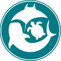 Marine Megafauna Foundation (@marinemegafauna) 's Twitter Profile