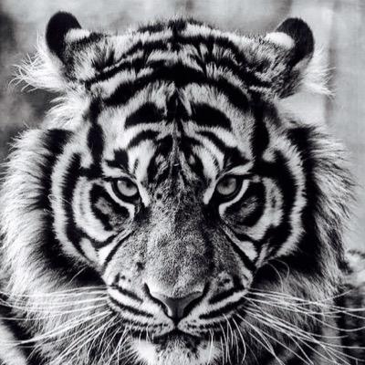 Rod0218's profile picture. 